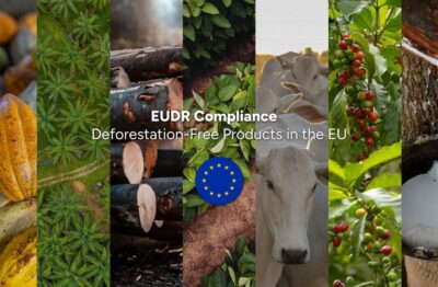 EUDR – Regolamento Europeo in materia di deforestazione
